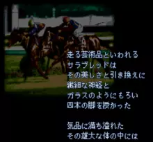 Image n° 1 - screenshots  : Classic Road II